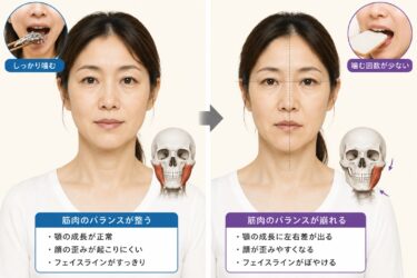咀嚼不足で顔は歪む？_顔面骨構造研究家 林幸千代