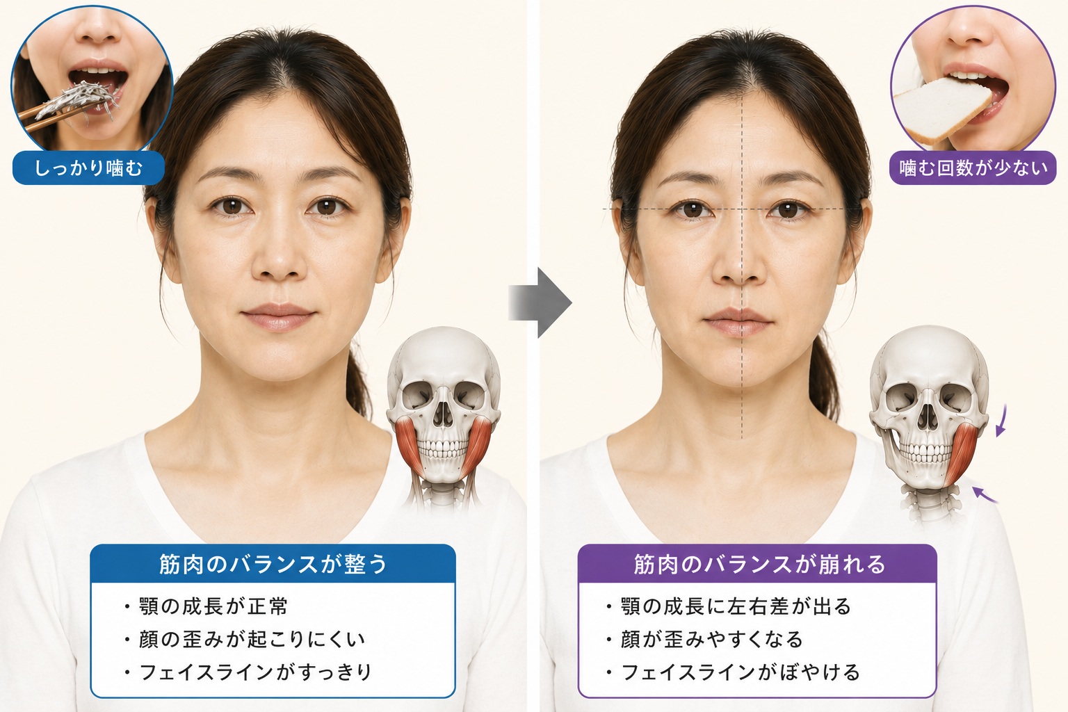 咀嚼不足で顔は歪む？_顔面骨構造研究家 林幸千代